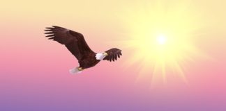 9월 첫째 주 찬송/9월 둘째 주 찬송