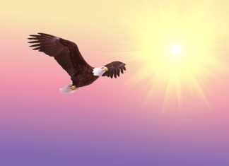 9월 첫째 주 찬송/9월 둘째 주 찬송