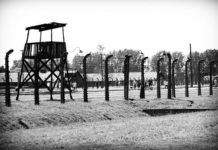 복음 통일이 속히 이루어지게 하옵소서!