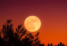 상상 속의 추석 특집 화요음악회 2022