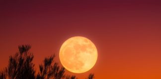 상상 속의 추석 특집 화요음악회 2022