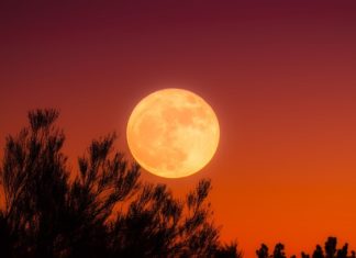 상상 속의 추석 특집 화요음악회 2022