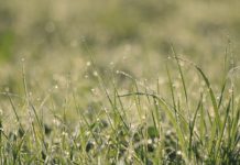 9월 셋째 주 찬송/9월 넷째주 찬송