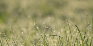 9월 셋째 주 찬송/9월 넷째주 찬송