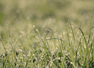 9월 셋째 주 찬송/9월 넷째주 찬송