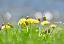 “너는 봄날의 햇살 같아”