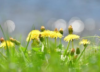 “너는 봄날의 햇살 같아”