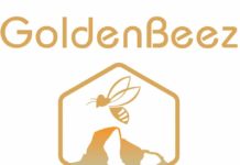 골든비즈(GoldenBeez)의 탄생