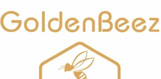 골든비즈(GoldenBeez)의 탄생