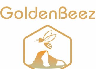골든비즈(GoldenBeez)의 탄생