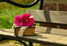 안명(安命) – 부득이(不得已)한 명에 편안해하다