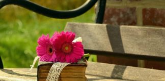 안명(安命) – 부득이(不得已)한 명에 편안해하다