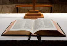 “I might have a harvest among you”