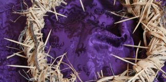 11월 첫째 주 찬송/ 11월 둘째 주 찬송