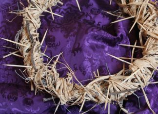 11월 첫째 주 찬송/ 11월 둘째 주 찬송