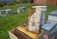 새 포도주는 새부대에…