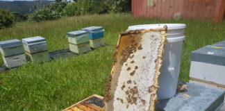 새 포도주는 새부대에…