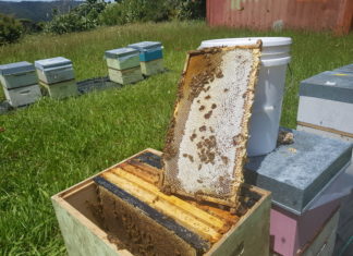 새 포도주는 새부대에…