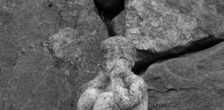 함께 묵상하고 기도하며 실행합시다