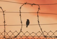 소련 공산당 세력의 북한기독교 말살 정책