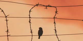 소련 공산당 세력의 북한기독교 말살 정책