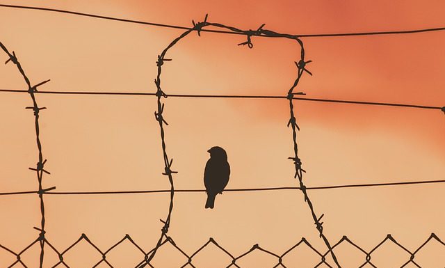 소련 공산당 세력의 북한기독교 말살 정책