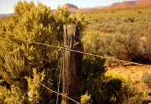 북한을 위한 기도