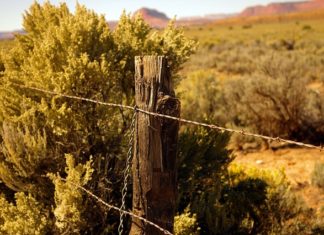 북한을 위한 기도