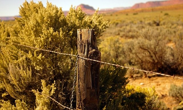 북한을 위한 기도