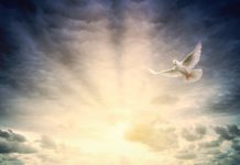 “What may be known about God”