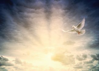 “What may be known about God”