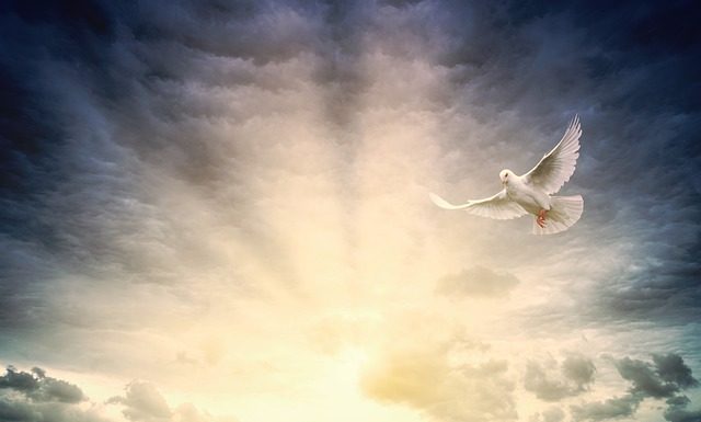 “What may be known about God”