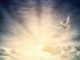 “What may be known about God”