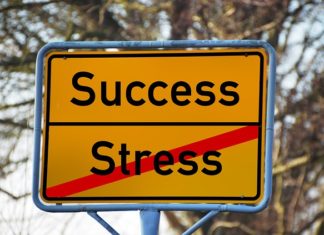 스트레스의 대처