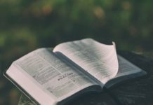 지성과 영성을 겸비한 그리스도인