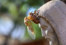 ‘허물을 벗다’