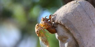 ‘허물을 벗다’