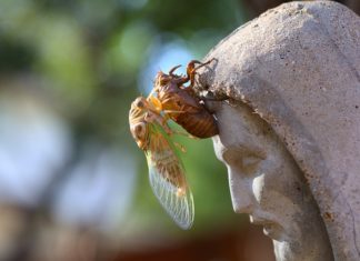 ‘허물을 벗다’