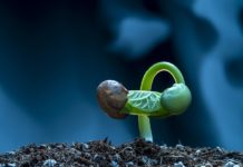 ‘움’과 ‘툼’사이의‘움틈’