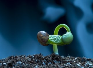 ‘움’과 ‘툼’사이의‘움틈’