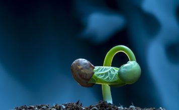 ‘움’과 ‘툼’사이의‘움틈’