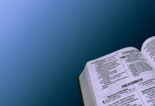 하나님의 비웃음