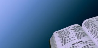 하나님의 비웃음