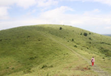 늘그막에 100일간의 여행