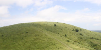 늘그막에 100일간의 여행