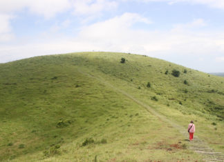 늘그막에 100일간의 여행