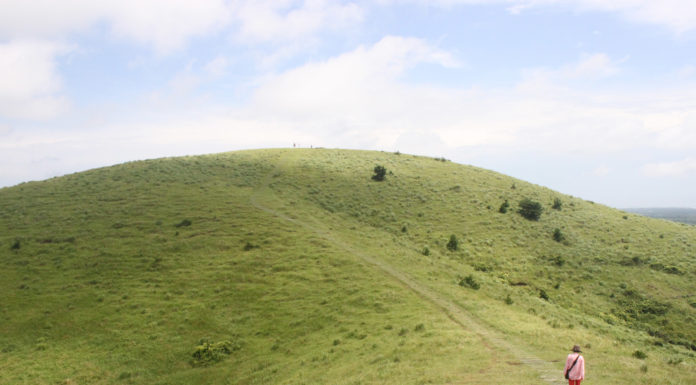 늘그막에 100일간의 여행