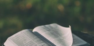 지성과 영성을 겸비한 그리스도인