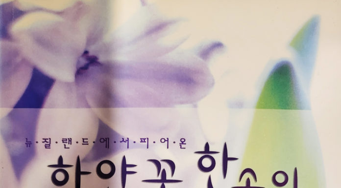 뉴질랜드에서 피어 온 하얀 꽃 한 송이