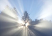 하나님의 형상과 모양에 대하여.1